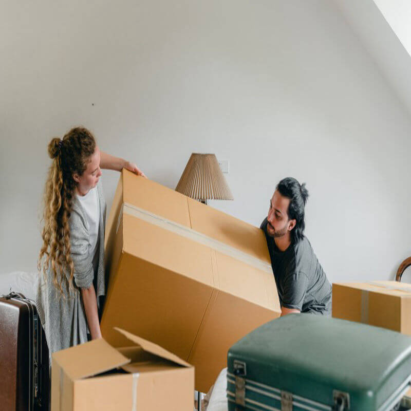 Removalists