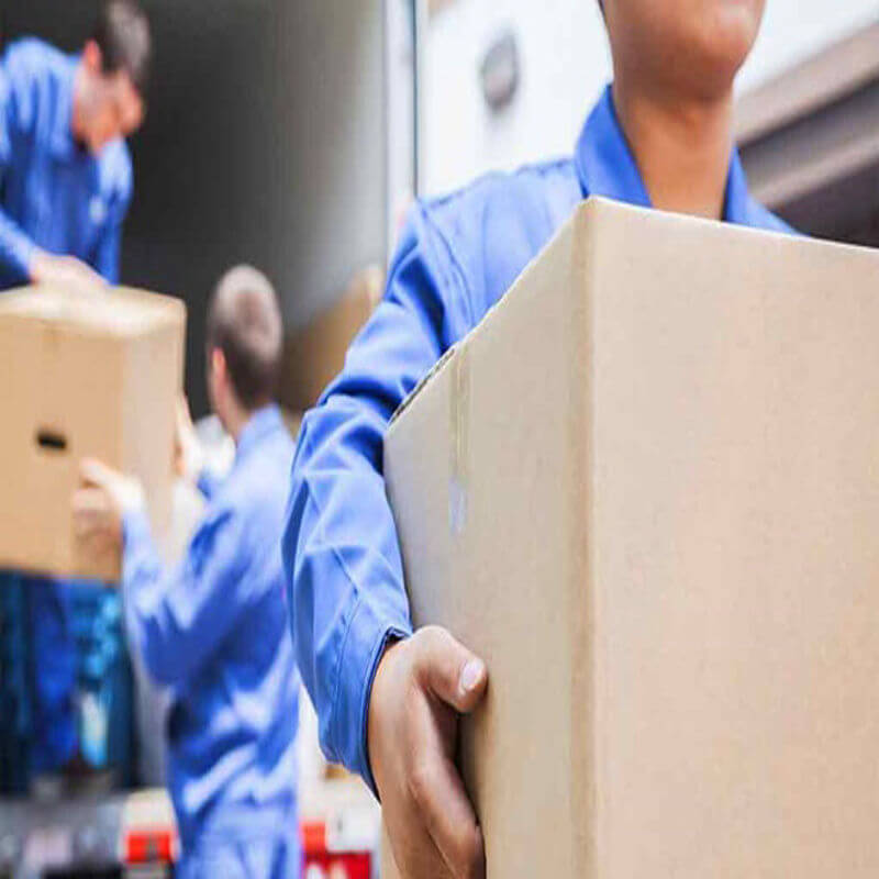 Removalists