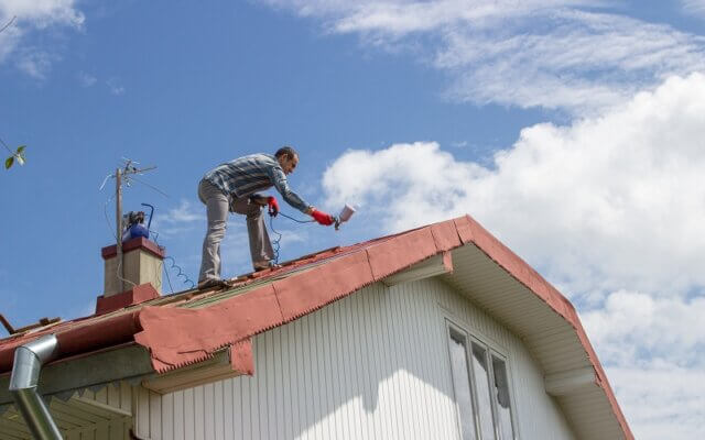 Roof Painting