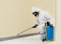 Damp Solution Sydney: Inspection & Diagnosis Guide Damp Solution Sydney