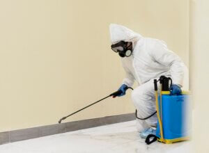 Damp Solution Sydney